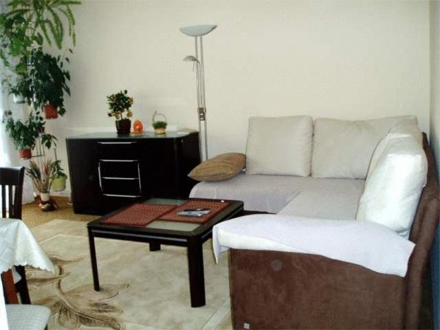 Luksusowe Apartment *